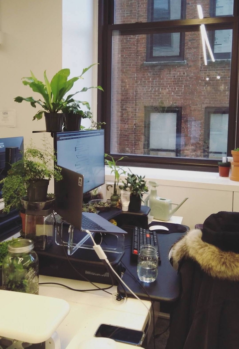 my plant covered desk at work.