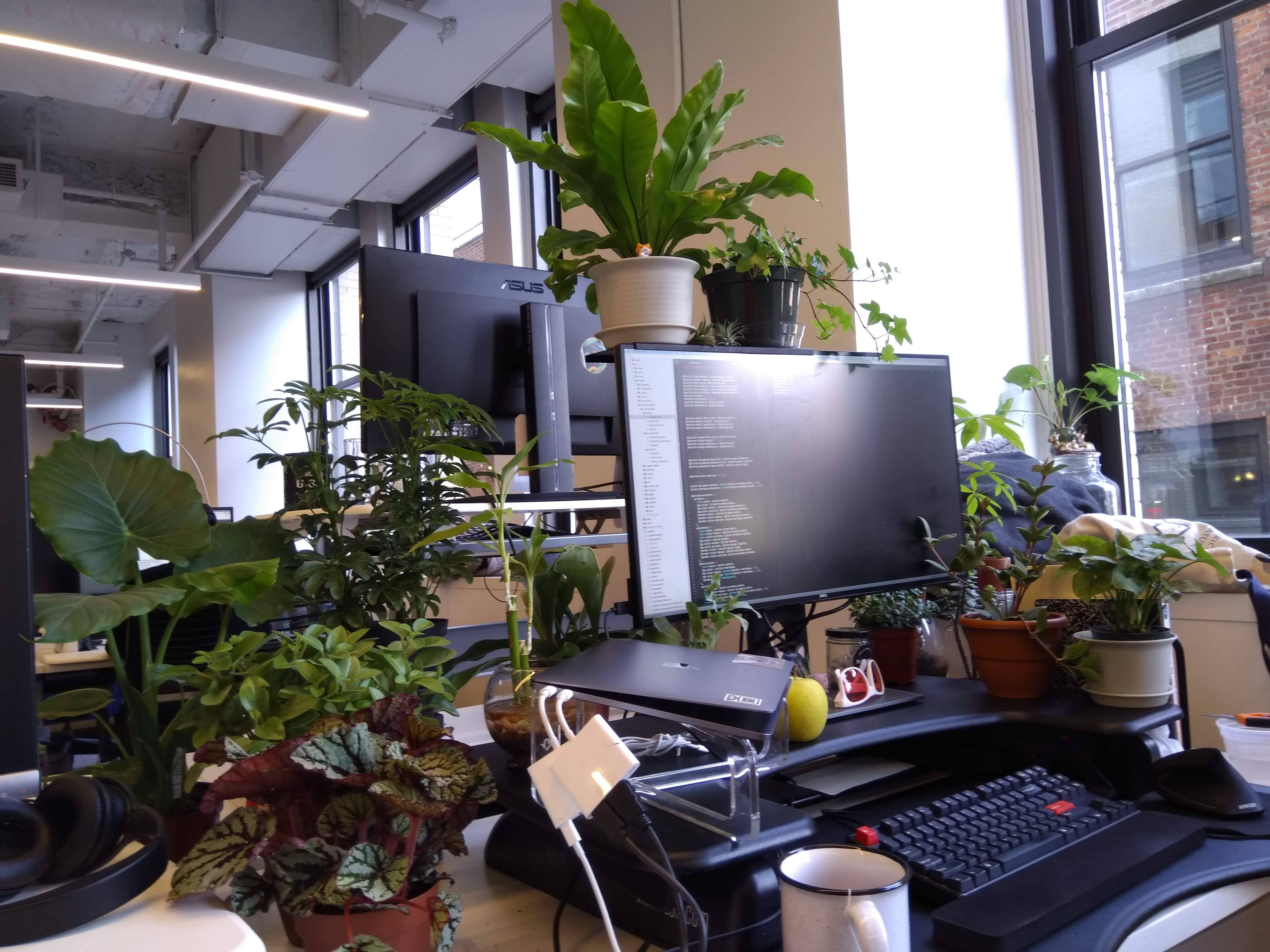 Laptop and monitor surrounded by plants
